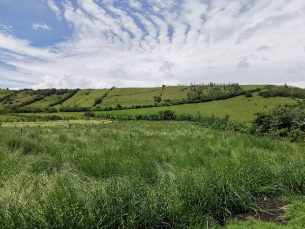 Terreno Rural en Venta 29700 m² Pintag Barrio Sto Domingo - Image 2