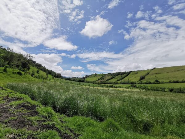 Terreno Rural en Venta 29700 m² Pintag Barrio Sto Domingo - Image 3