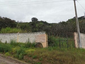 Terreno Agricola en Venta Puellaro